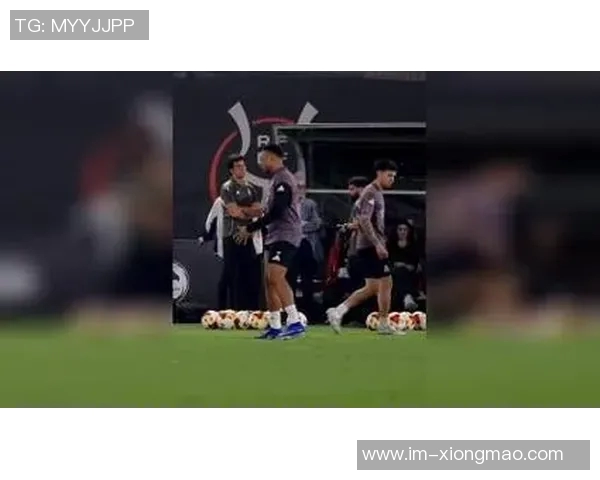 姆巴佩因伤退队引发争议罗滕直言队友对特殊待遇感到厌倦